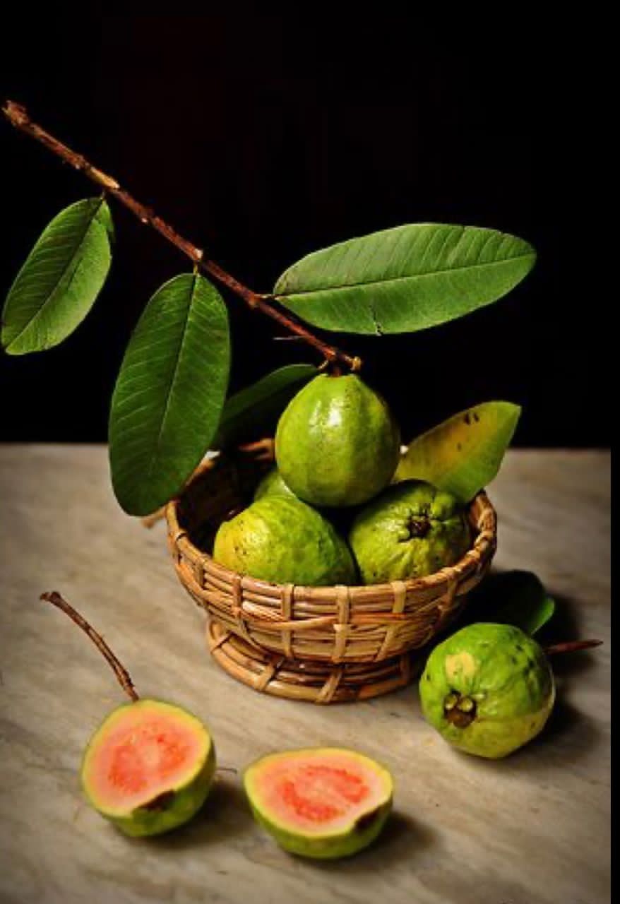 GUAVA