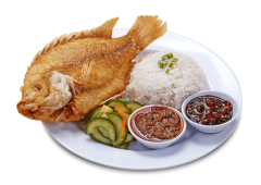 W10 | BORNEO ECO FISH MEAL