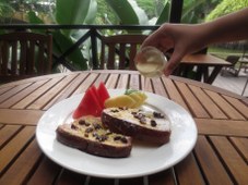 Brioche French toast