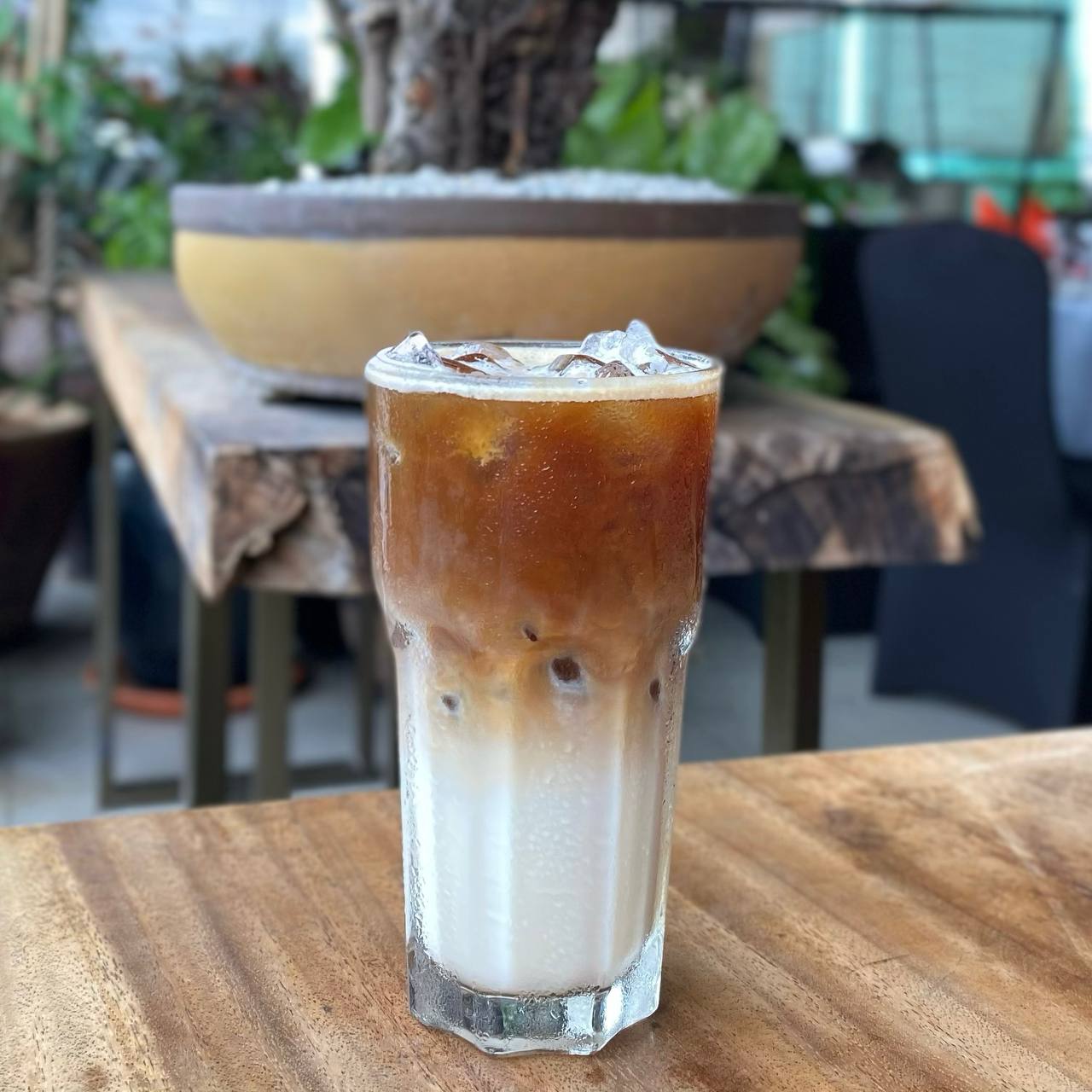 Latte (Cold)
