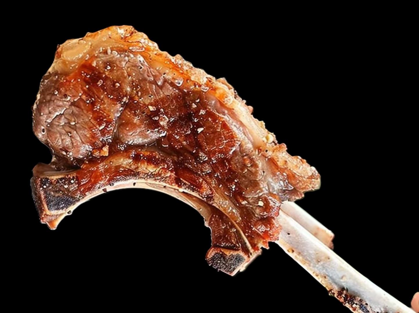 Lamb Rack 羊排