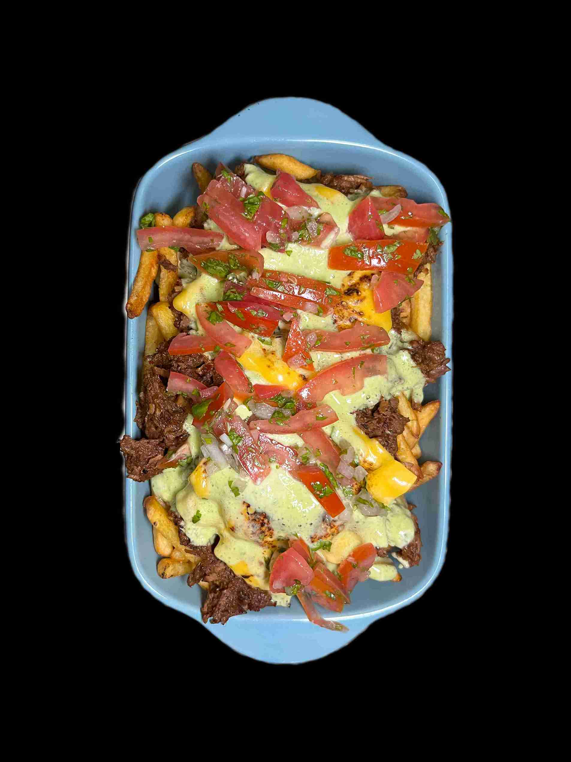FRIES BIRRIA
