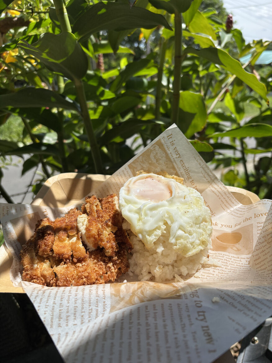 Crispy Chicken With Egg